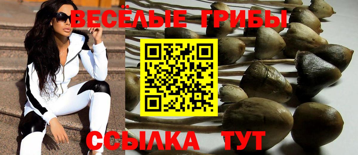 Шелехов  Галлюциногенные грибы ЛСД  Галлюциногенные грибы Magic Shrooms  купить наркотики цена  Вход с VPN 